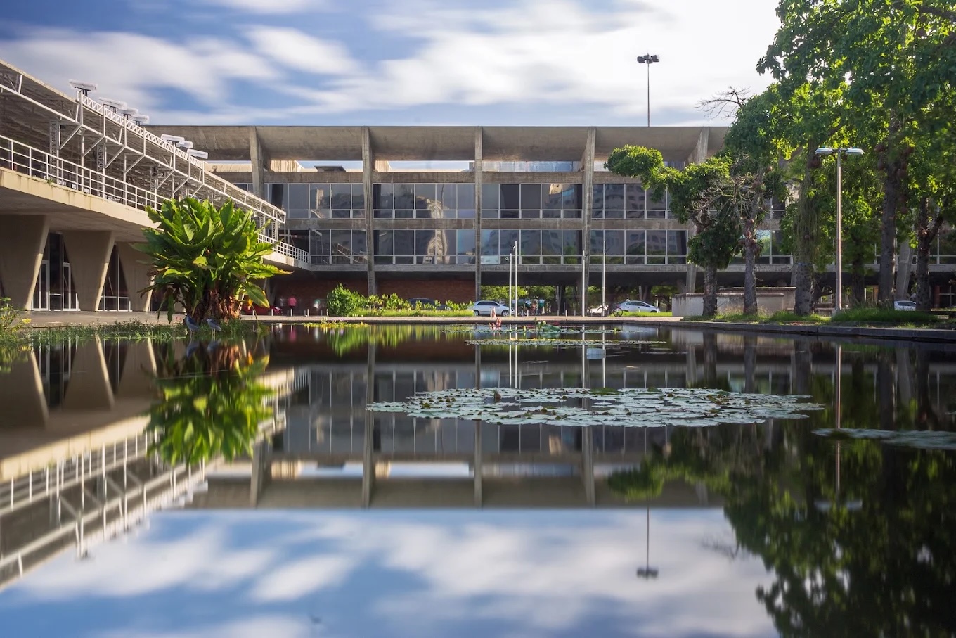 Fachada modernista do MAM Rio em concreto aparente e vidro, refletida em um espelho d'água com plantas aquáticas